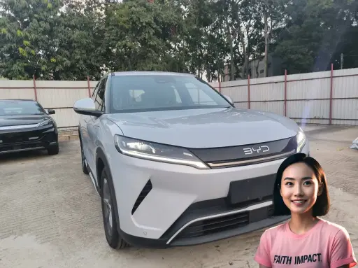 2026 BYD ATTO 2 Premium